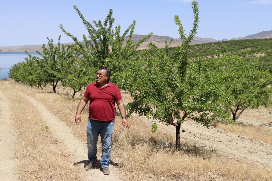 7 Yılın Sonunda Oldu: Hazineden Kiraladığı Arazi Hayatını Değiştirdi "Görmeden İnanmıyorlardı" 4